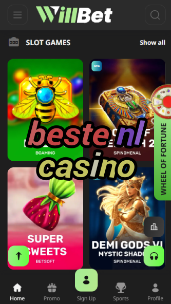 Beste NL Casino - Best Dutch Online Casino-www.bdqngd.com